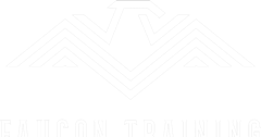 Faucon Training
